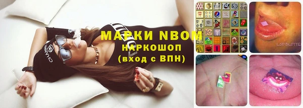 apvp Аркадак