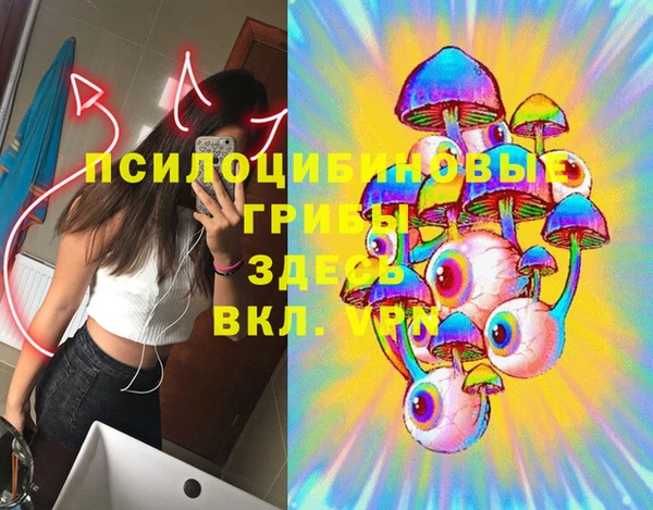 apvp Аркадак