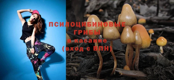 прущая мука Балахна